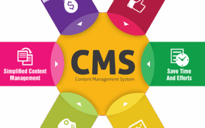 CMS(Content Management System) Website for Businesses