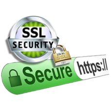 Why do you need an SSL