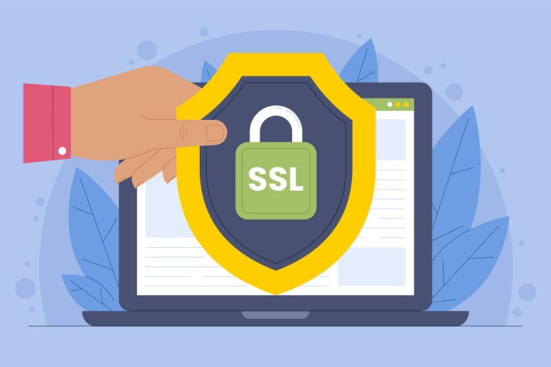 Unlocking Your Business’s Online Potential: The Vital Role of SSL Certificates, Responsiveness, Accessibility, and Mobile Optimization